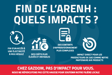 Fin du dispositif ARENH : quels impacts pour les professionnels ?