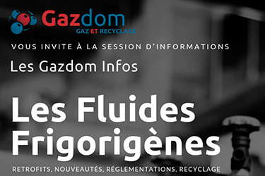 Réunion d'Information sur les fluides frigorigènes par Gazdom