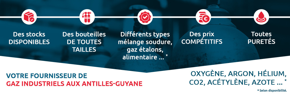 Infographie sur GAZ DOM : des stocks disponibles, des bouteilles de toutes tailles et différents types de mélanges soudure, gaz étalons, alimentaire...